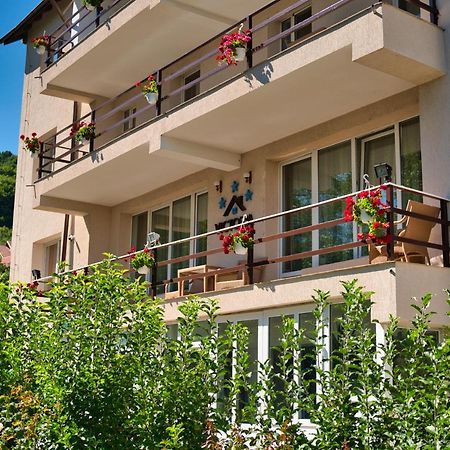 Vila Victoria Râmnicu Vâlcea エクステリア 写真