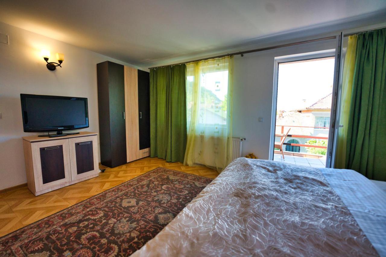 Vila Victoria Râmnicu Vâlcea エクステリア 写真
