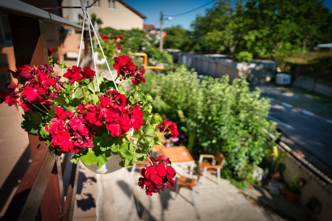 Vila Victoria Râmnicu Vâlcea エクステリア 写真