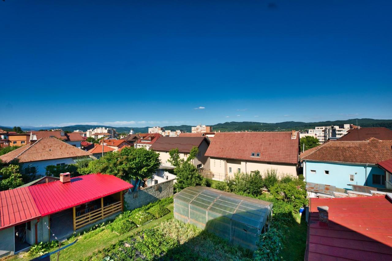 Vila Victoria Râmnicu Vâlcea エクステリア 写真