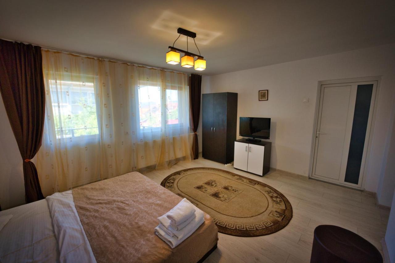 Vila Victoria Râmnicu Vâlcea エクステリア 写真