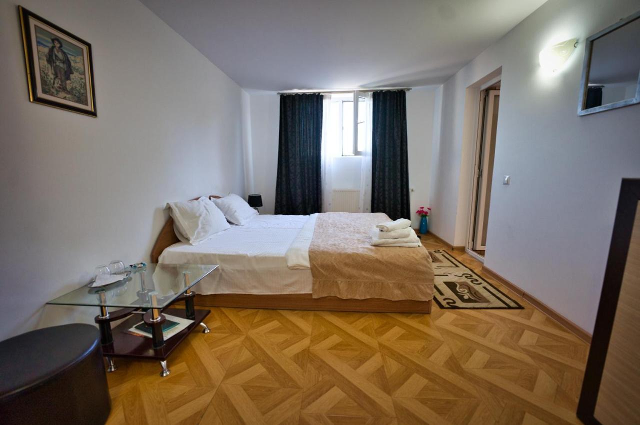 Vila Victoria Râmnicu Vâlcea エクステリア 写真