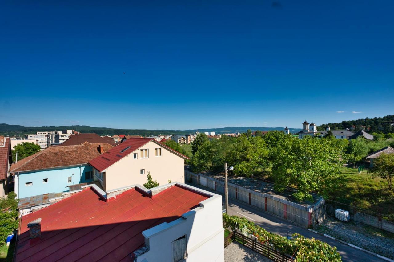 Vila Victoria Râmnicu Vâlcea エクステリア 写真