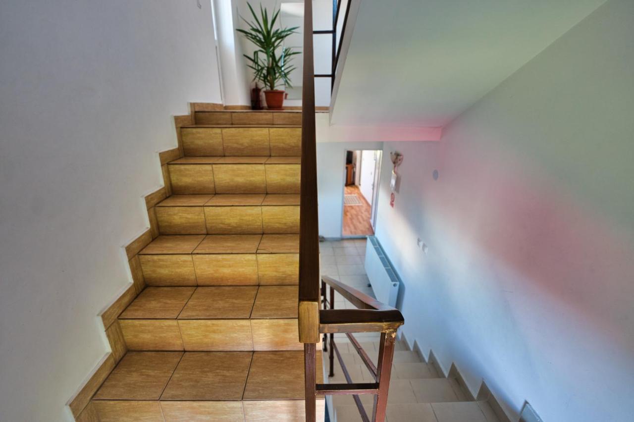 Vila Victoria Râmnicu Vâlcea エクステリア 写真