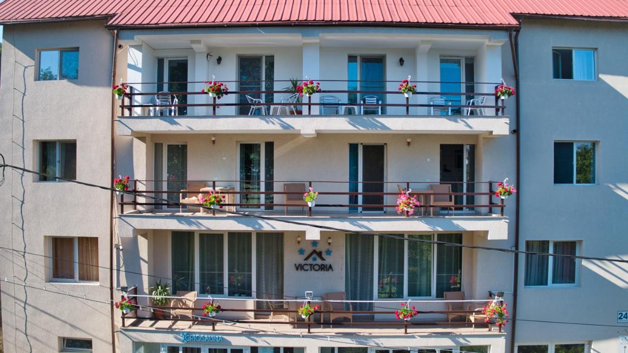 Vila Victoria Râmnicu Vâlcea エクステリア 写真