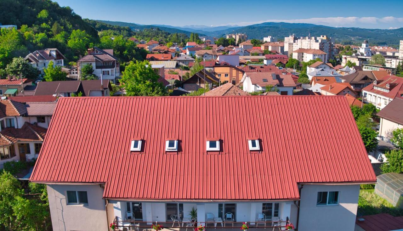 Vila Victoria Râmnicu Vâlcea エクステリア 写真