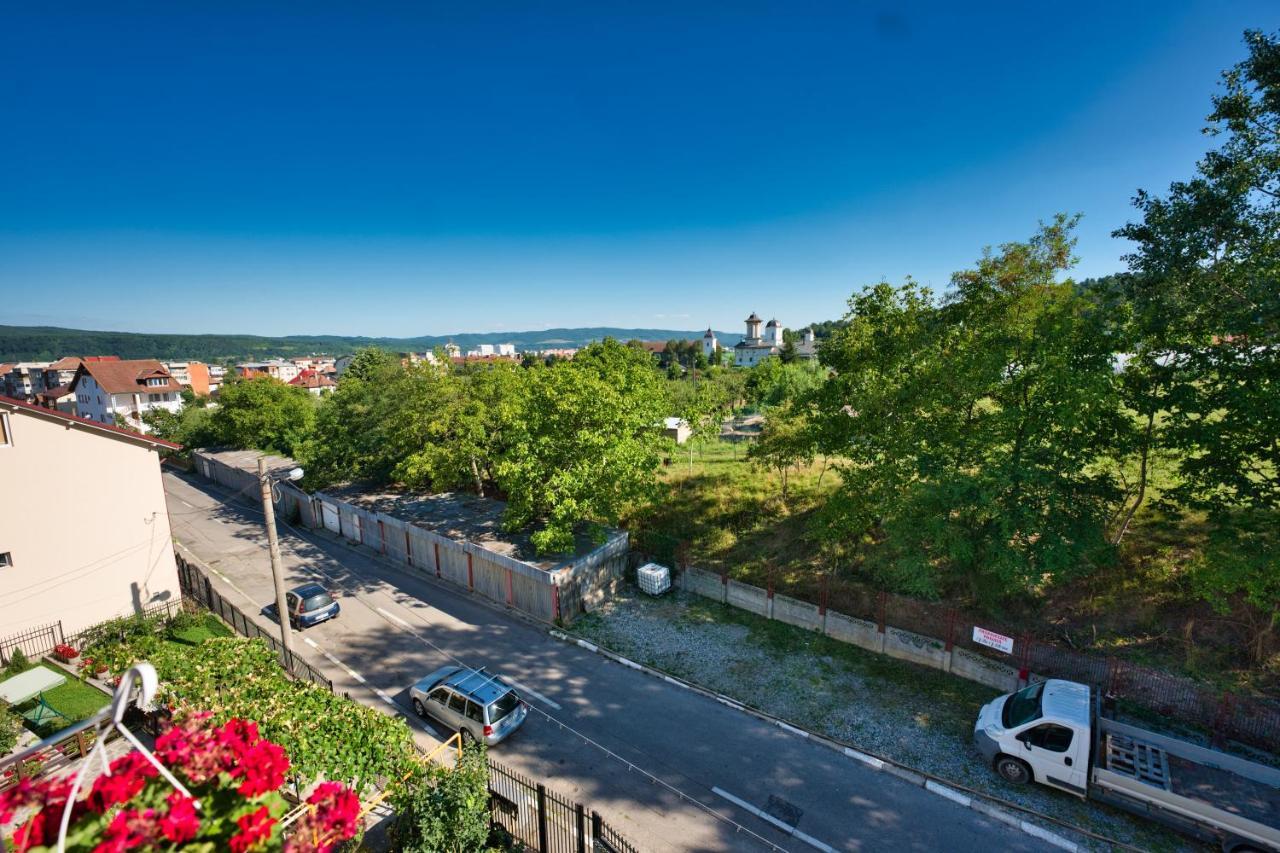 Vila Victoria Râmnicu Vâlcea エクステリア 写真