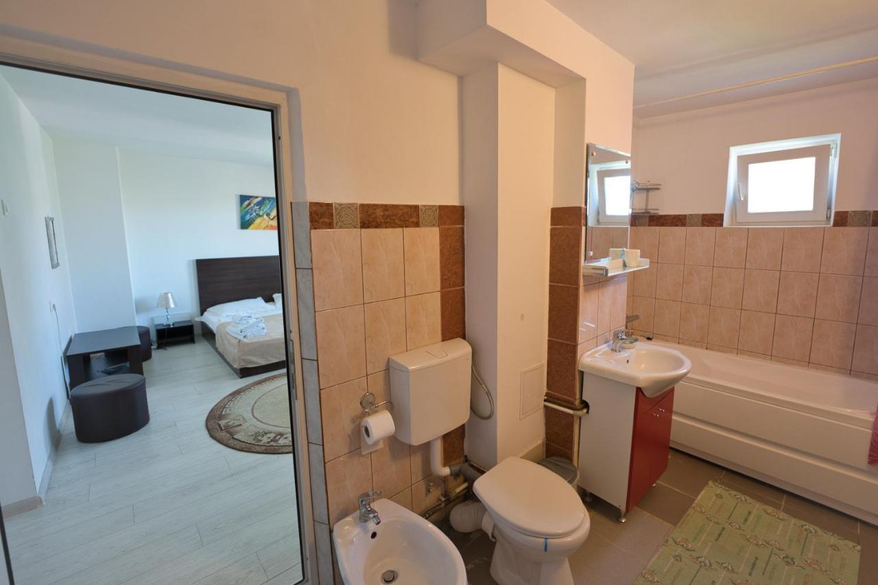 Vila Victoria Râmnicu Vâlcea エクステリア 写真