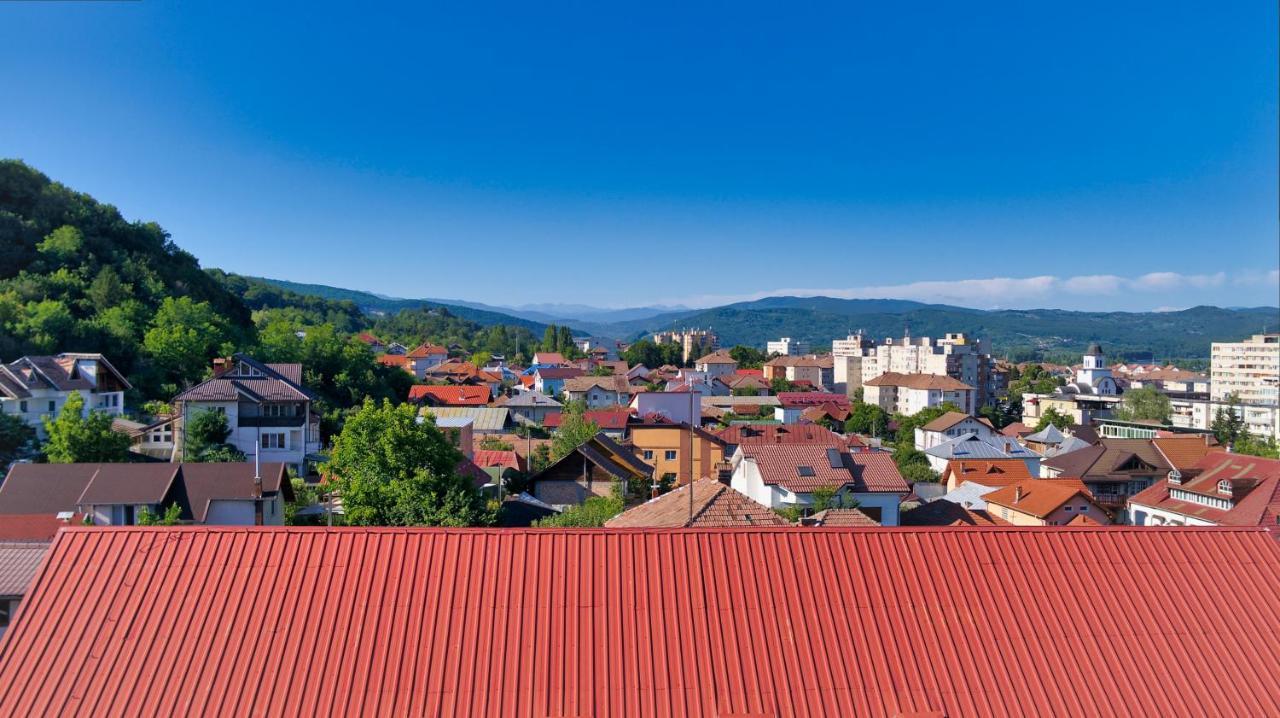 Vila Victoria Râmnicu Vâlcea エクステリア 写真