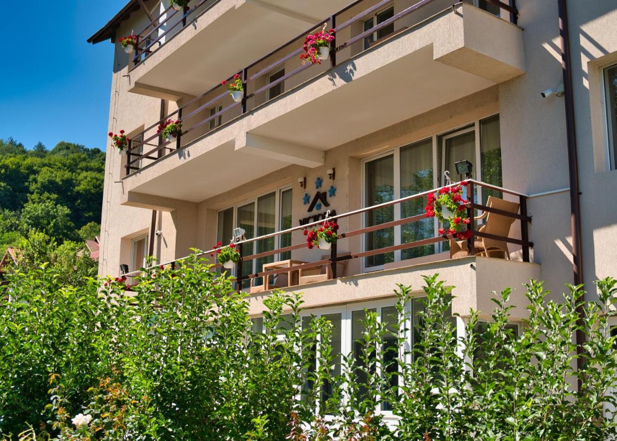Vila Victoria Râmnicu Vâlcea エクステリア 写真