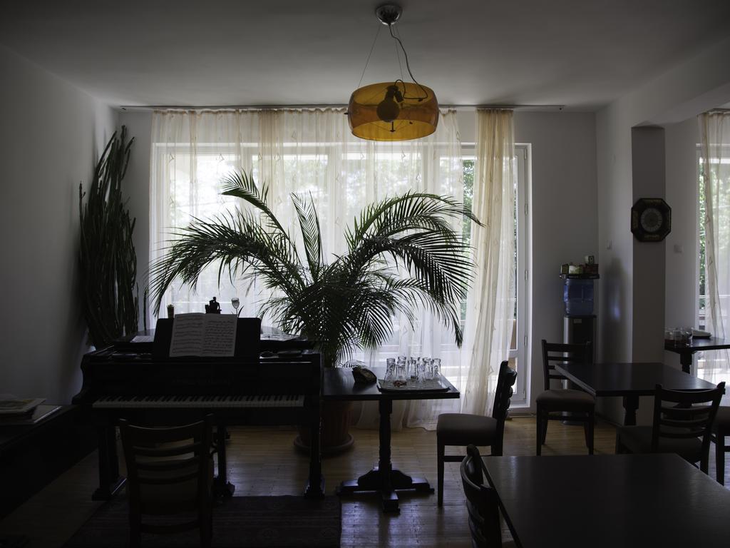 Vila Victoria Râmnicu Vâlcea エクステリア 写真