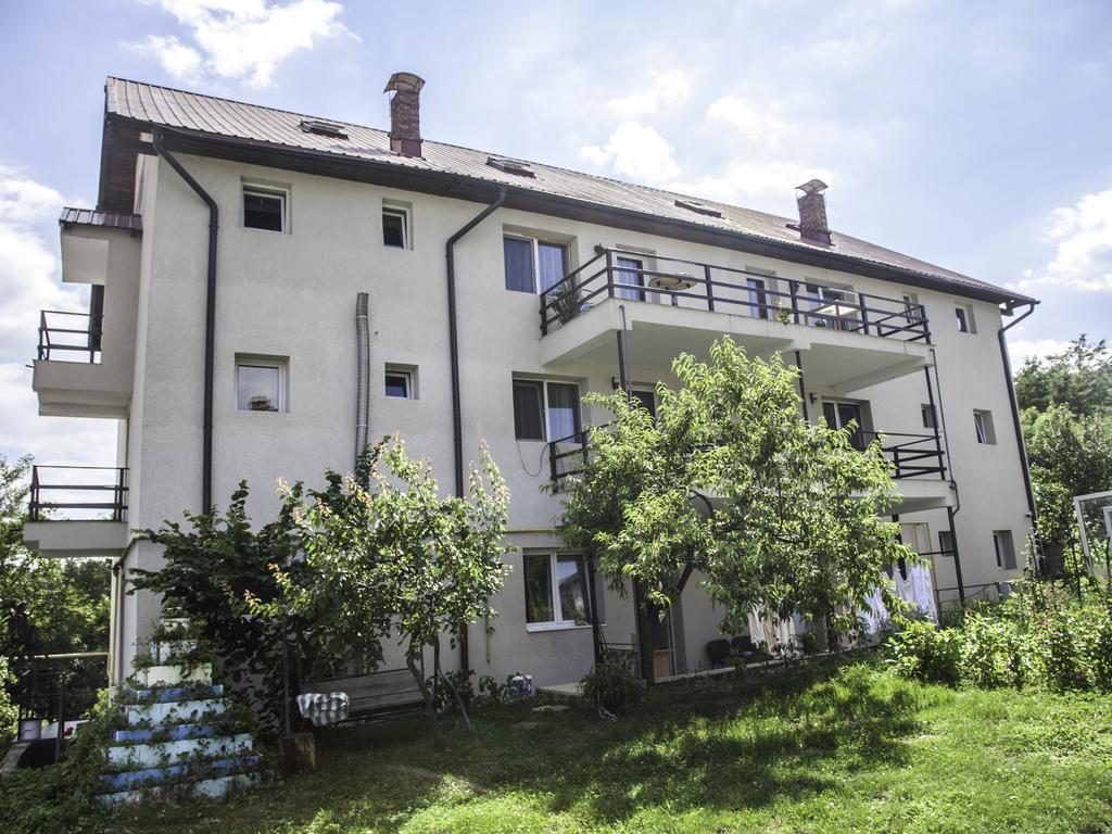 Vila Victoria Râmnicu Vâlcea エクステリア 写真