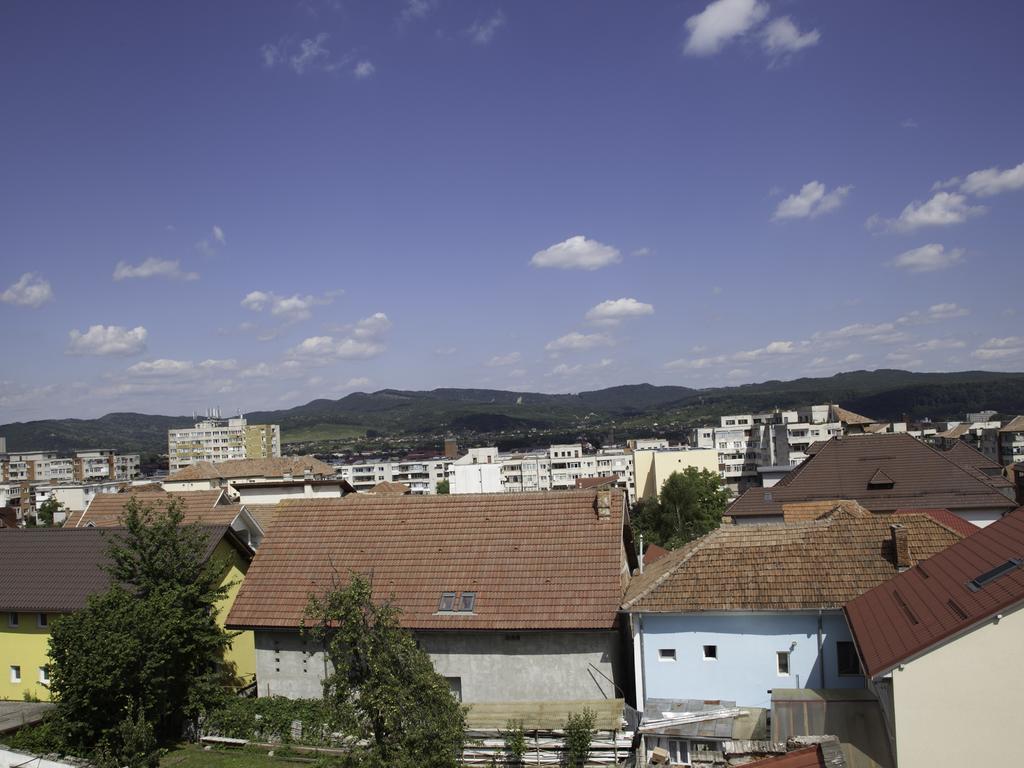 Vila Victoria Râmnicu Vâlcea エクステリア 写真