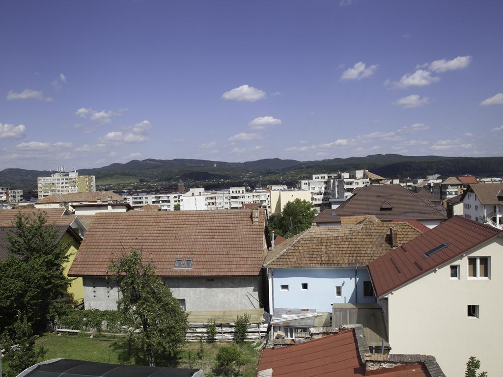 Vila Victoria Râmnicu Vâlcea エクステリア 写真