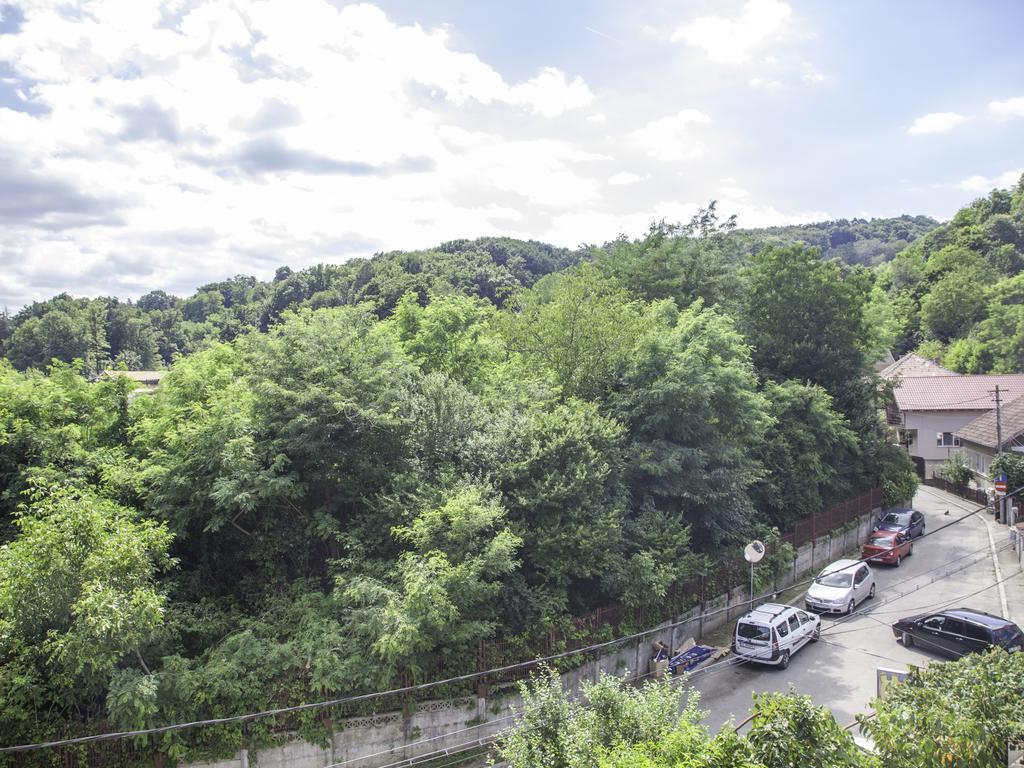Vila Victoria Râmnicu Vâlcea エクステリア 写真