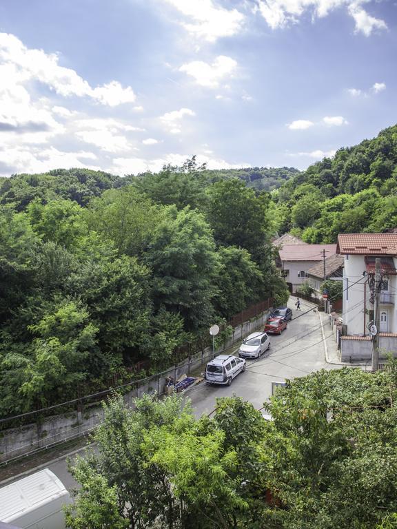 Vila Victoria Râmnicu Vâlcea エクステリア 写真
