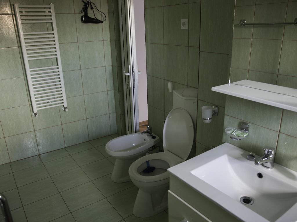 Vila Victoria Râmnicu Vâlcea エクステリア 写真
