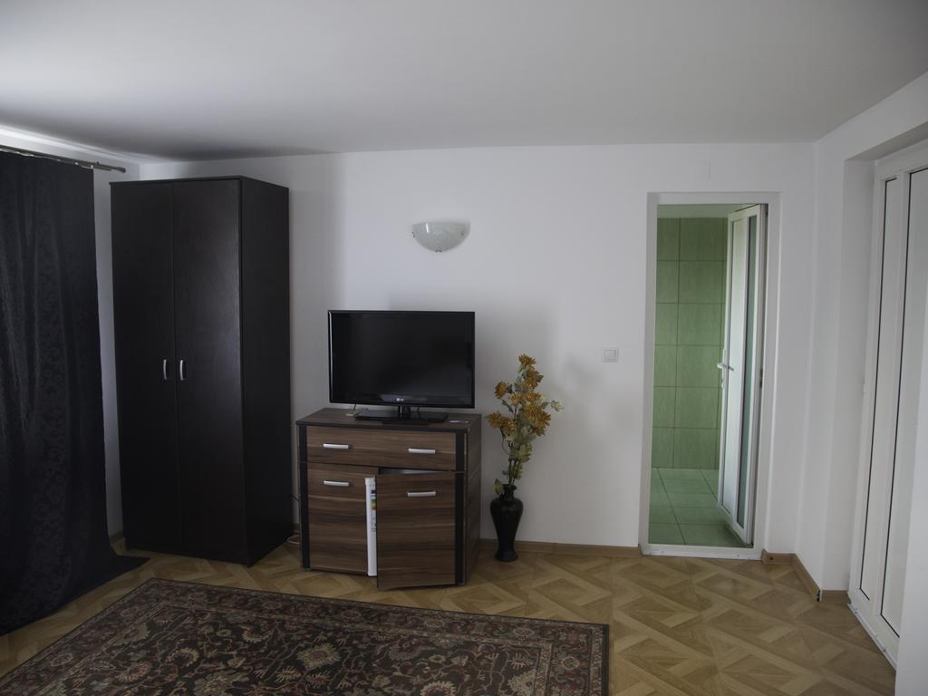 Vila Victoria Râmnicu Vâlcea エクステリア 写真