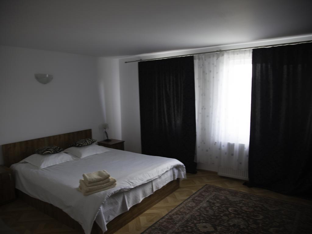 Vila Victoria Râmnicu Vâlcea エクステリア 写真