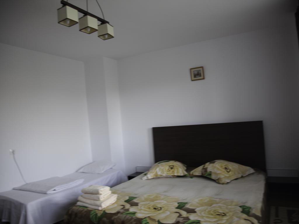 Vila Victoria Râmnicu Vâlcea エクステリア 写真