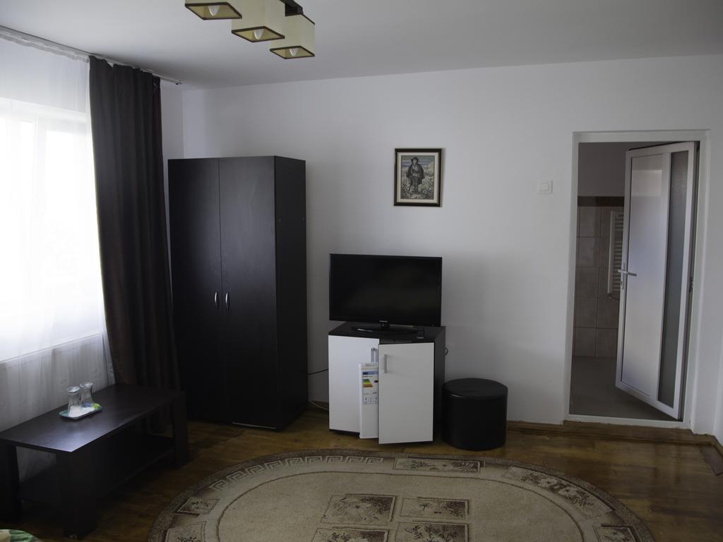 Vila Victoria Râmnicu Vâlcea エクステリア 写真