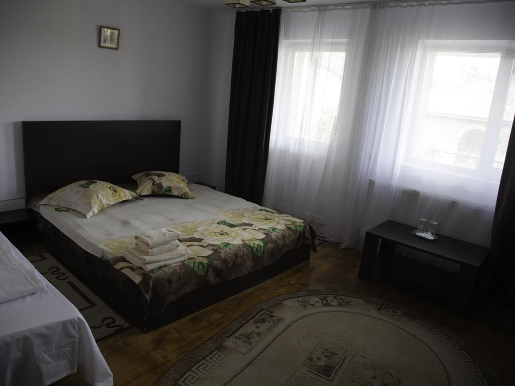 Vila Victoria Râmnicu Vâlcea エクステリア 写真